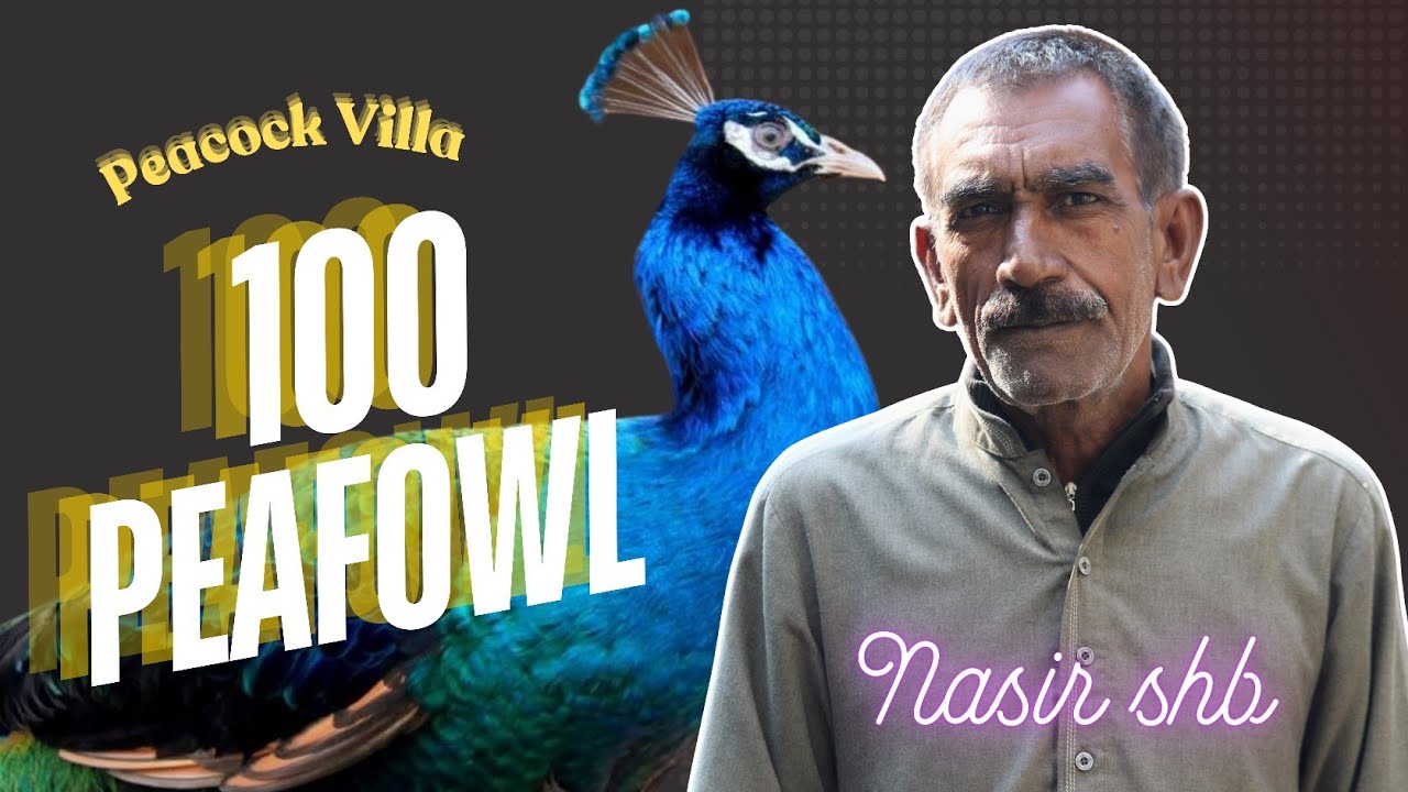 Nasir Sahab | Peacock Villa