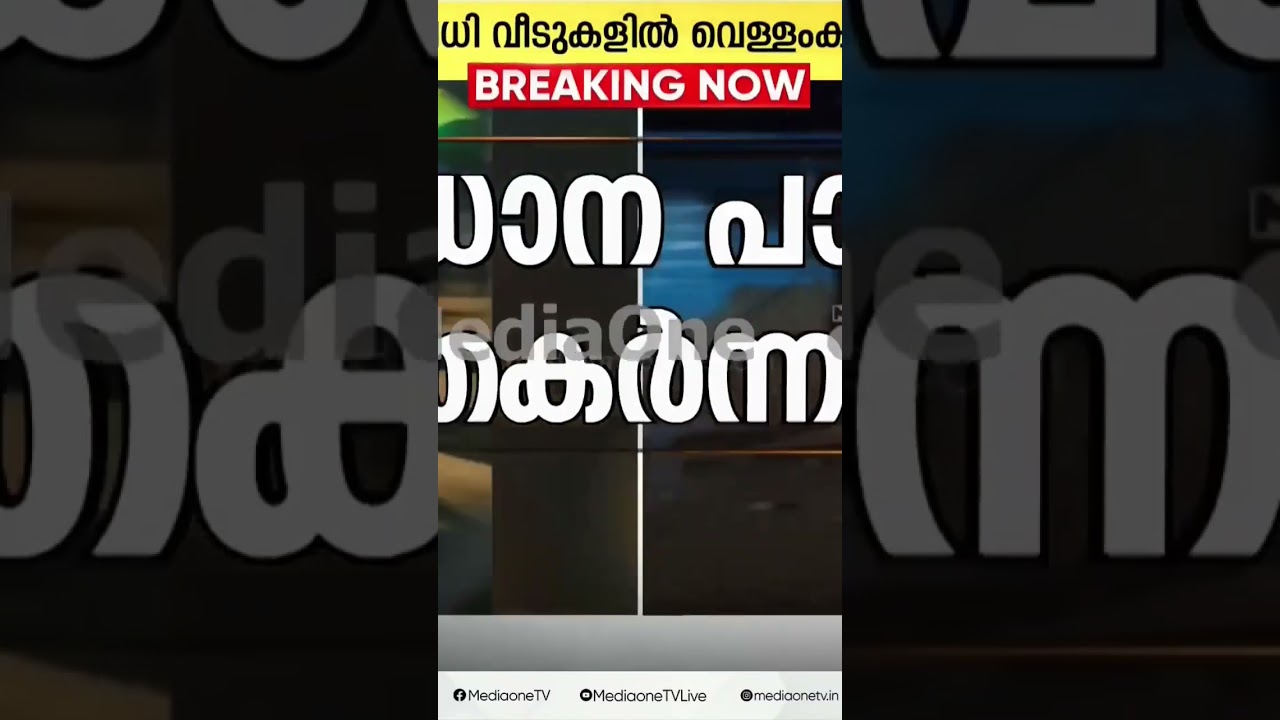 #വയനാട് #MalayalamNewsLive​ #MalayalamLatestNews​ #MediaoneLive​ #MalayalamLatest​ #NewsMalayalam​