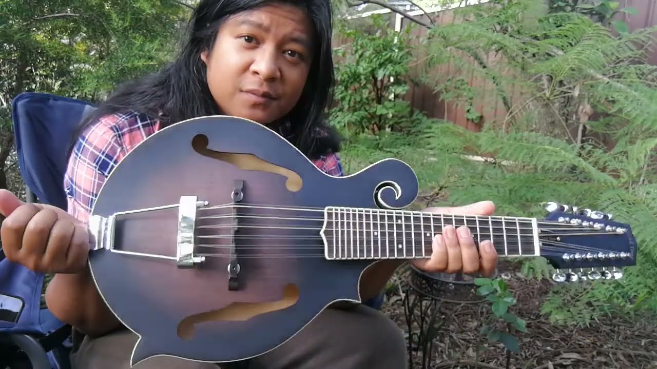 So I finally bought a Guitar Mandolin Gold Tone F12