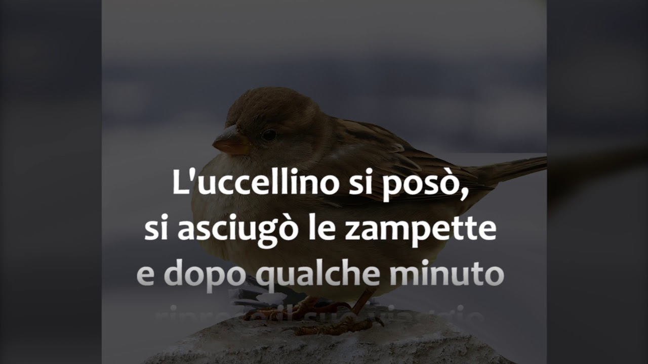 L'utilit&agrave; di un sasso | Storie emozionanti con morale | Lezioni di vita