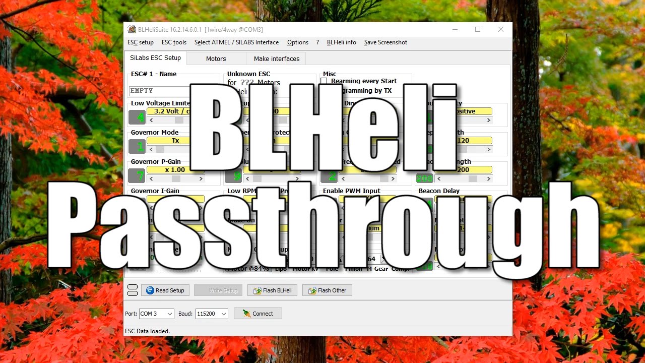 How To Use BLHeli Passthrough to Program BLHeli ESCs
