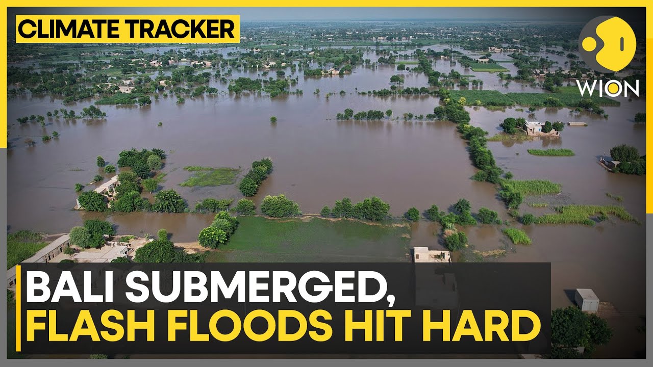 Bali Floods: Heavy Rains Flood Denpasar & Jembrana | WION Climate Tracker