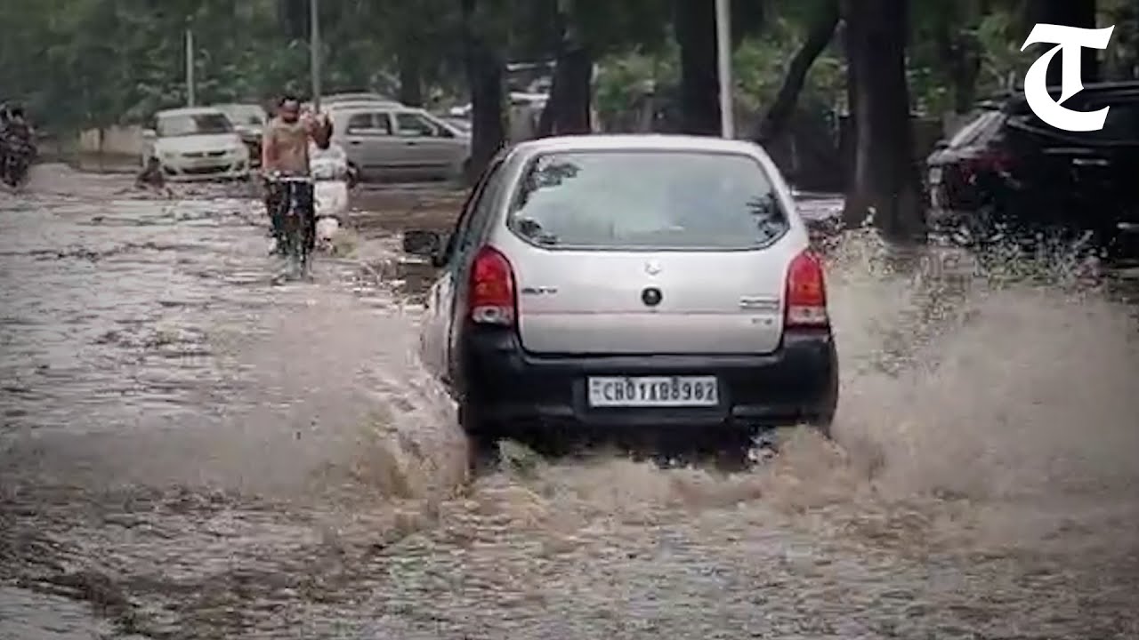 Rain lashes Chandigarh; MeT dept predicts showers for region in next 24 hours
