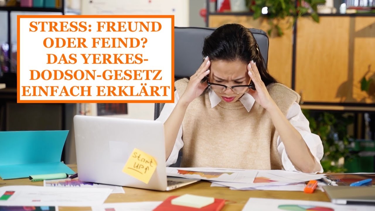 STRESS: FREUND ODER FEIND? – DAS YERKES-DODSON-GESETZ EINFACH ERKLÄRT