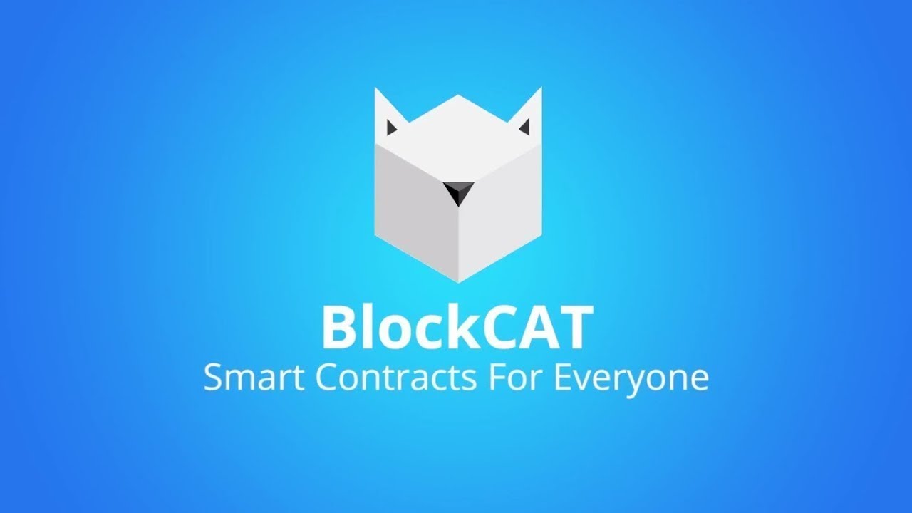 BlockCAT ICO UPDATE - HOW I MADE $3300 in 4 days !!!