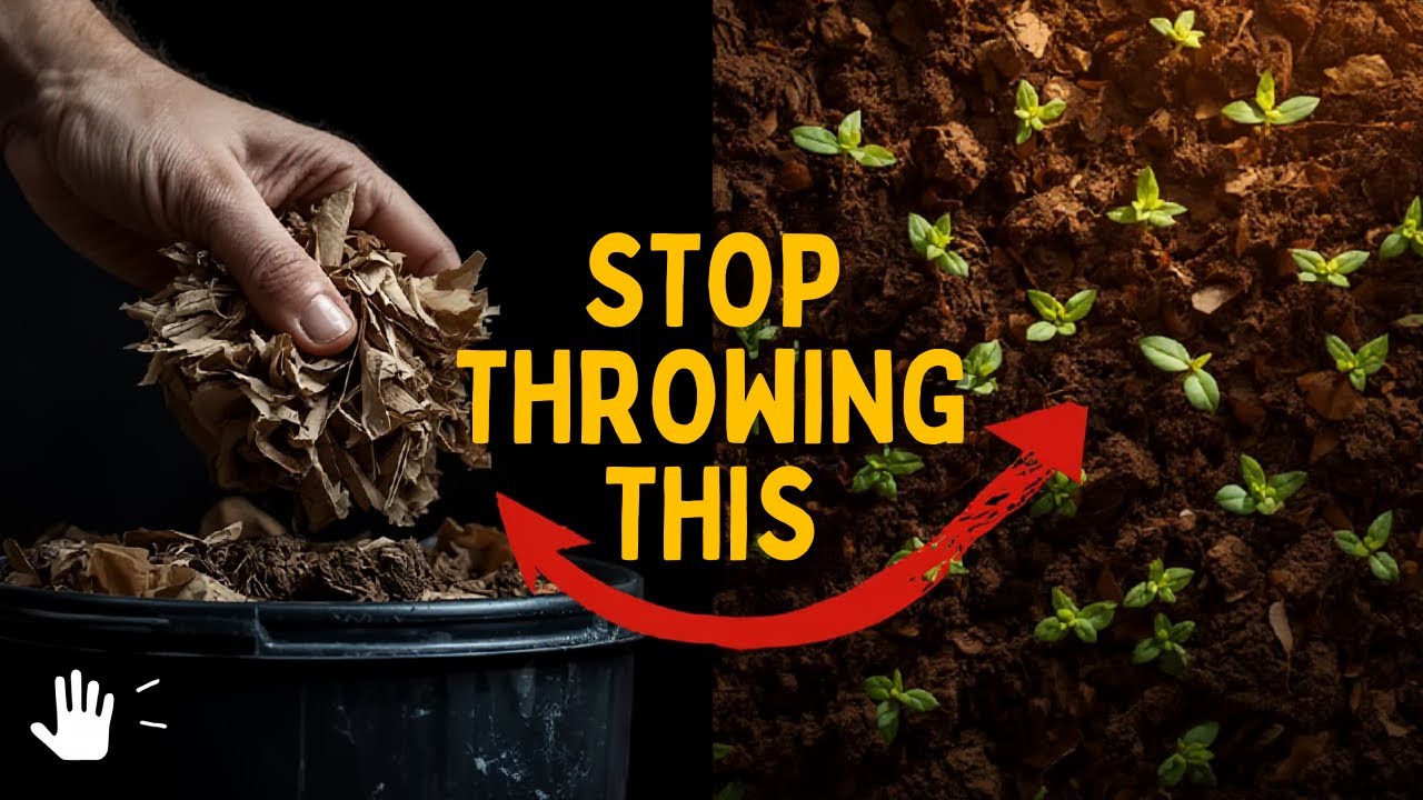 People Throw This Away… But It’s the Best Soil Building Material You Can Find