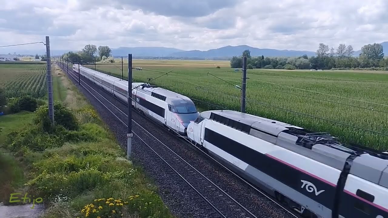 Spot dans les champs de Benfeld sur le TER200