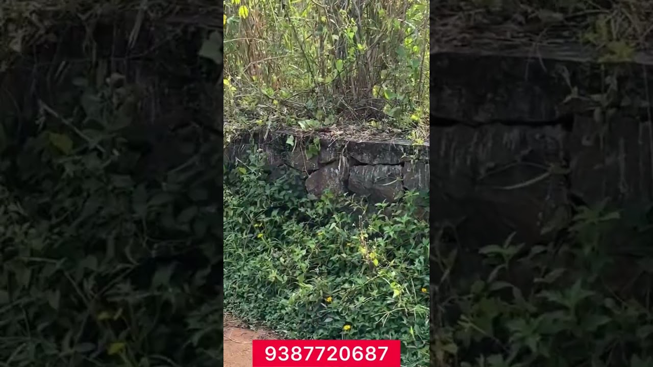 പൈക ടൗണിനടുത്ത് PRIME PLOT 🔥😍 | Residential Land for Sale | 314B | SOLD OUT 2026