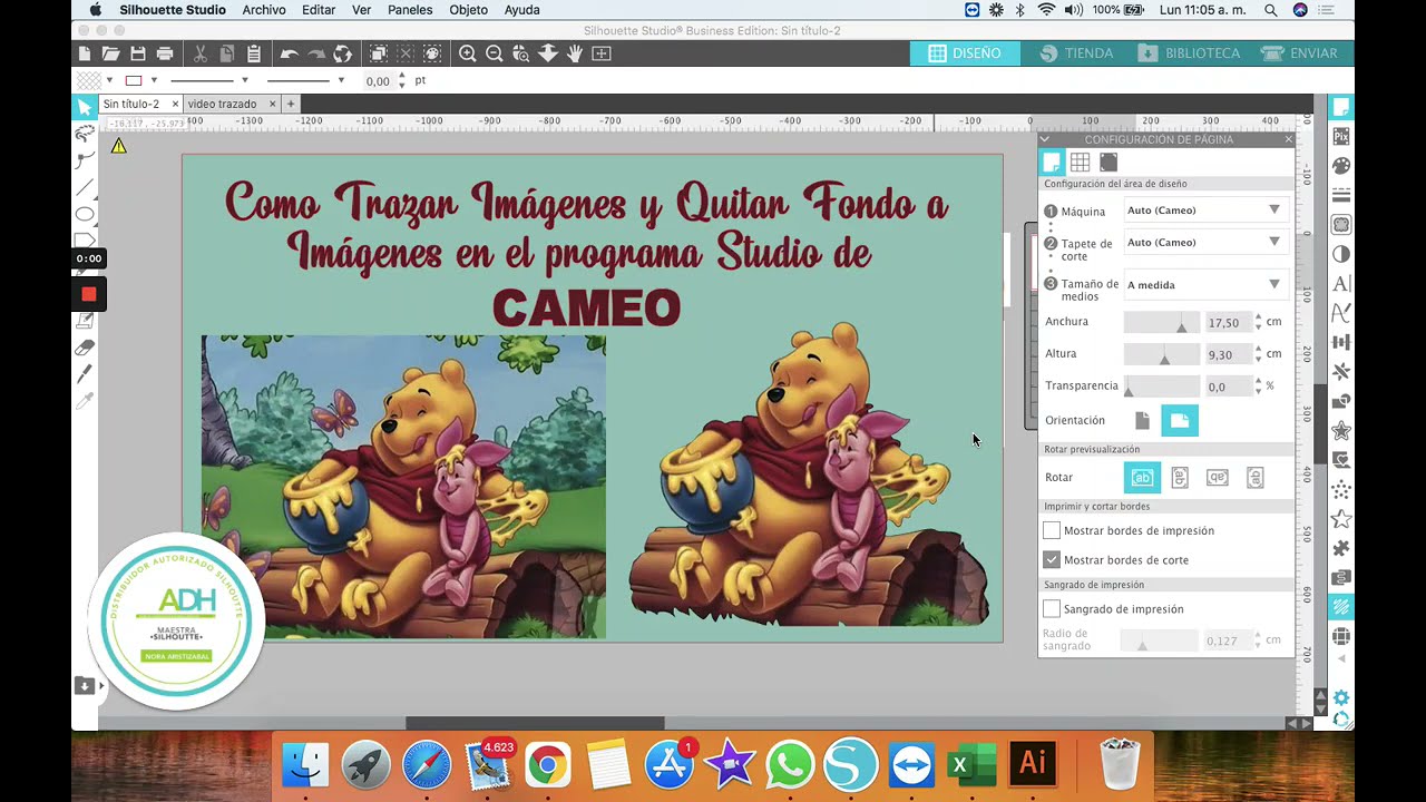 COMO Trazar Imágenes y QUITAR FONDO a las Imágenes en el programa STUDIO DE SILHOUETTE de CAMEO