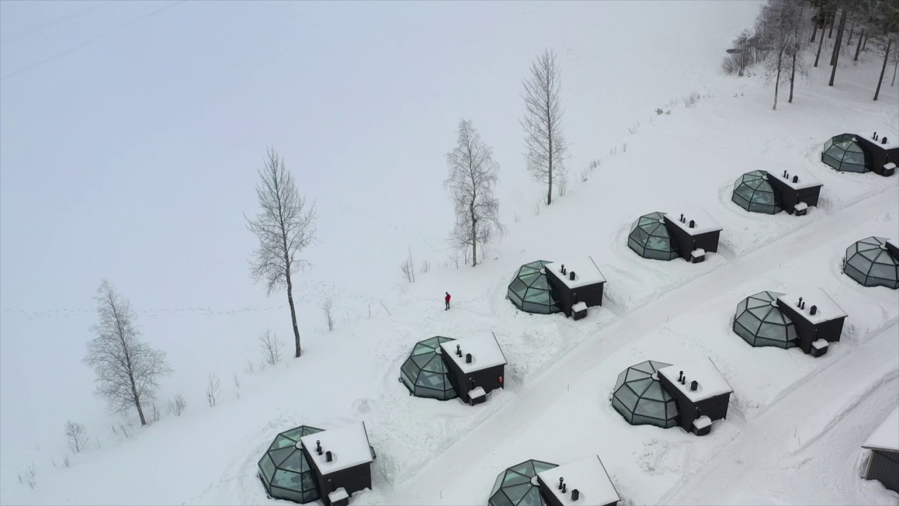 Arctic Fox Igloos