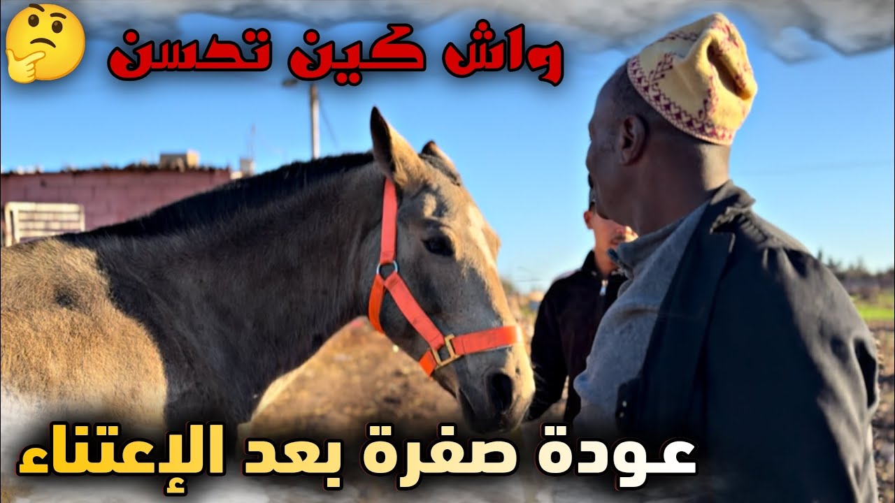 بادريس مسكين بقا فيه الحال ولكن هدي هيا دنية🥹 واش كاين شي تحسن ❤️‍🩹 