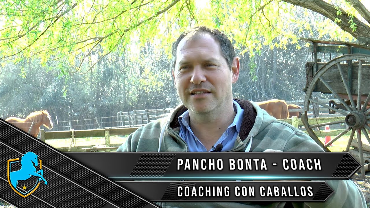 Caballos Argentinos TV - Coaching con caballos - Pancho Bonta