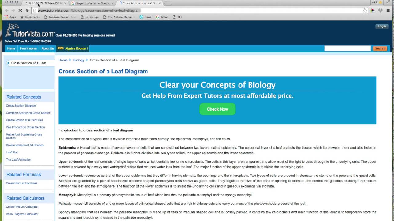 Knowledge Forum 6 | Tutorial 7 - Adding links to contributions