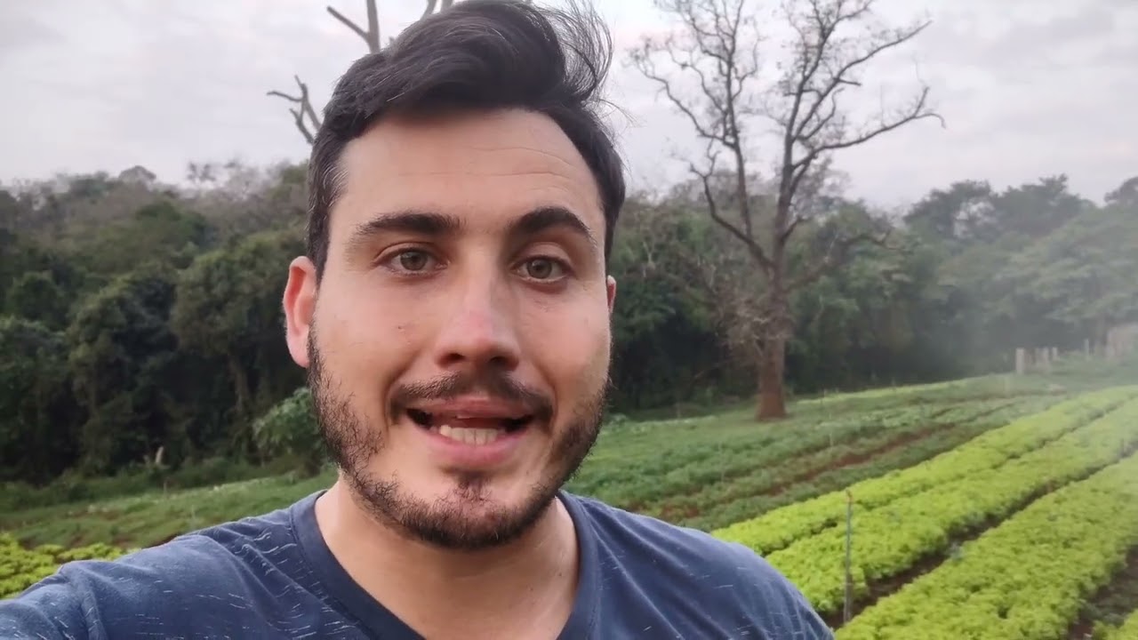 OS MAIORES ERROS QUE COMETI NA MINHA HORTA