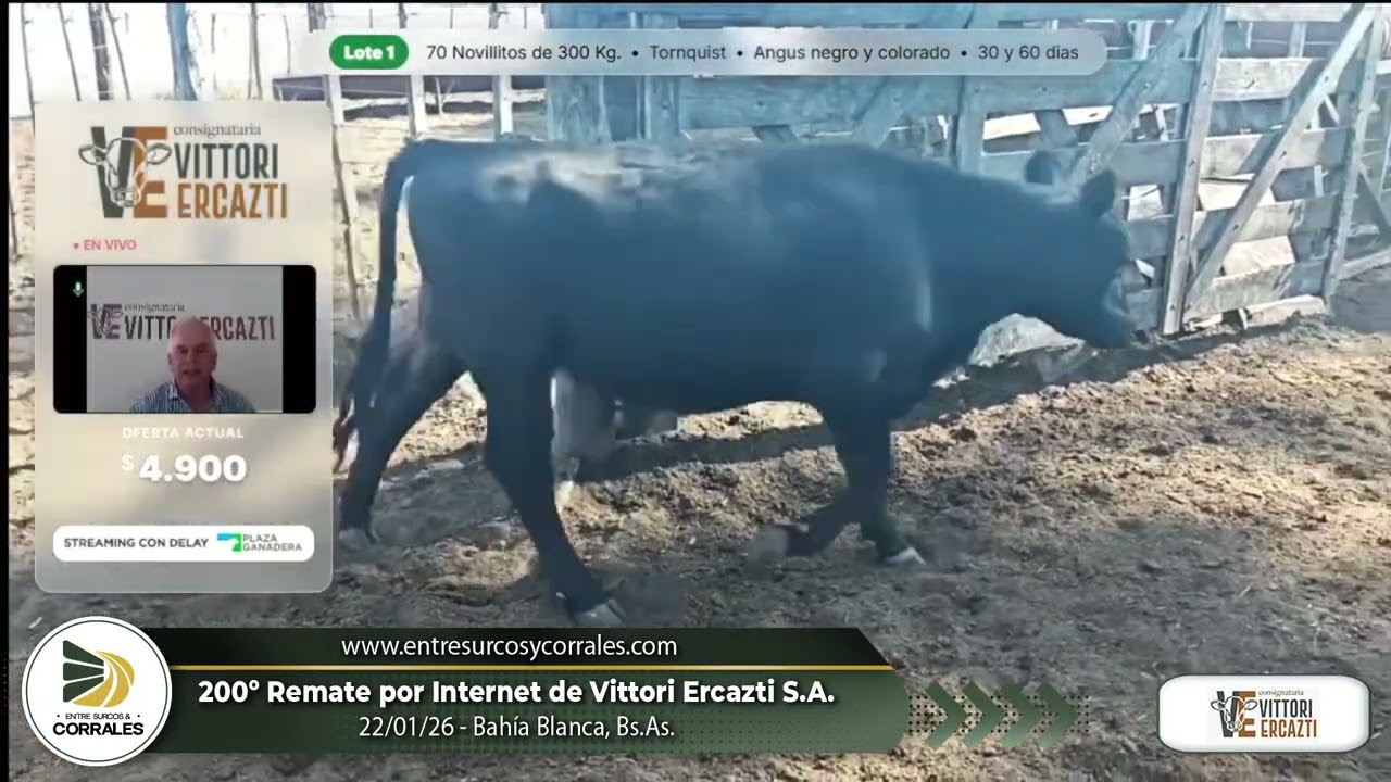 22-01-26 - 200º Remate por Internet de Consignataria Vittori Ercazti S.A.-    Bahía Blanca, Bs.As.