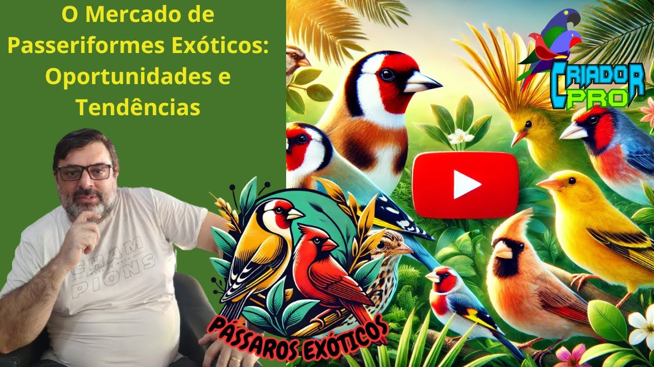 LIVE 3 - O Mercado de Passeriformes Exóticos: Oportunidades e Tendências -