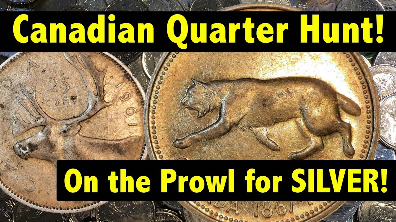 Quarter Hunt & Album Fill #4 - Silver Bobcat & More!