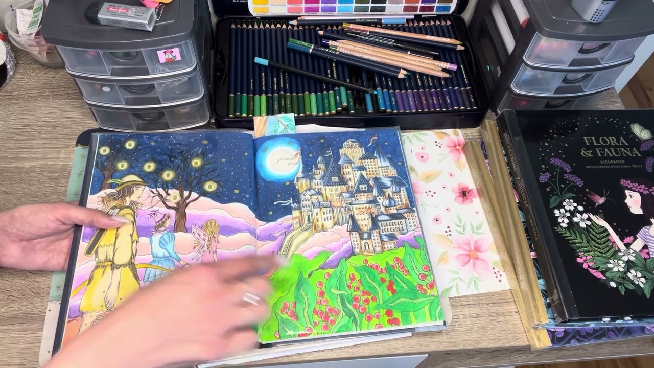 Collection de livre de colos partie 2 + blabla avis #artist #disney #zen #art #coloringbook #dessin