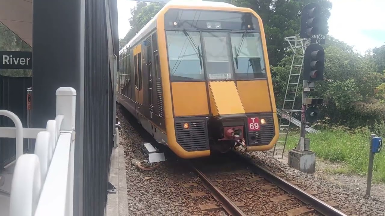 Trains at Oatley and 100th YEARS of ELEctric trains episode 13 