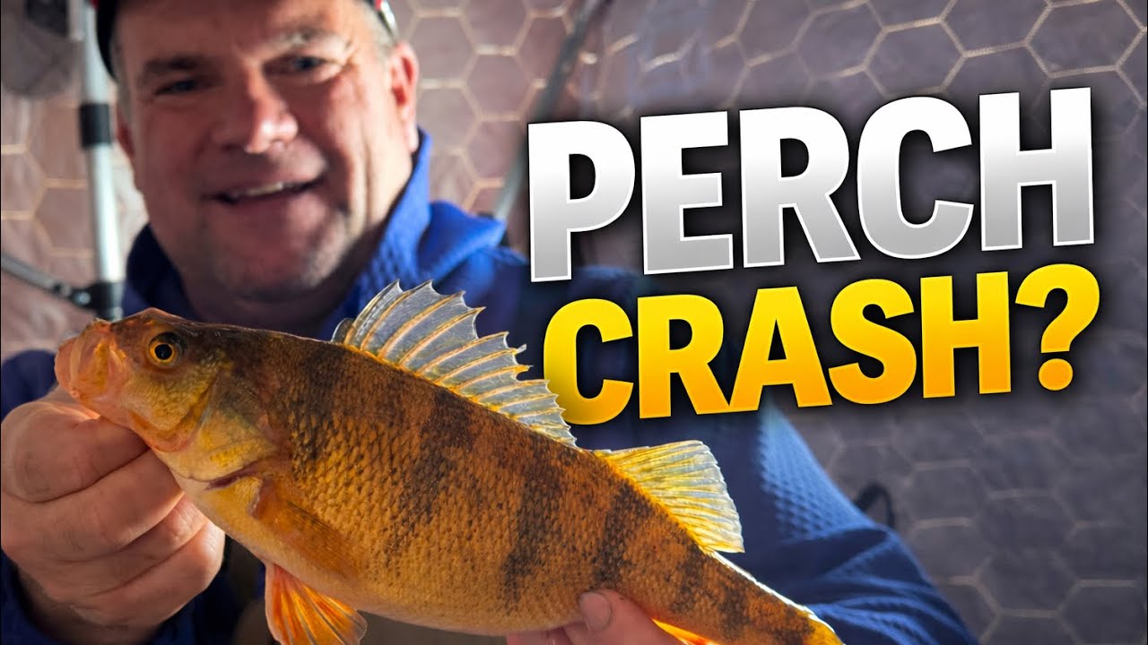 Jason Mitchell Breaks Down Devils Lake Ice— Perch Cycles, Walleyes & What Anglers Need to Know