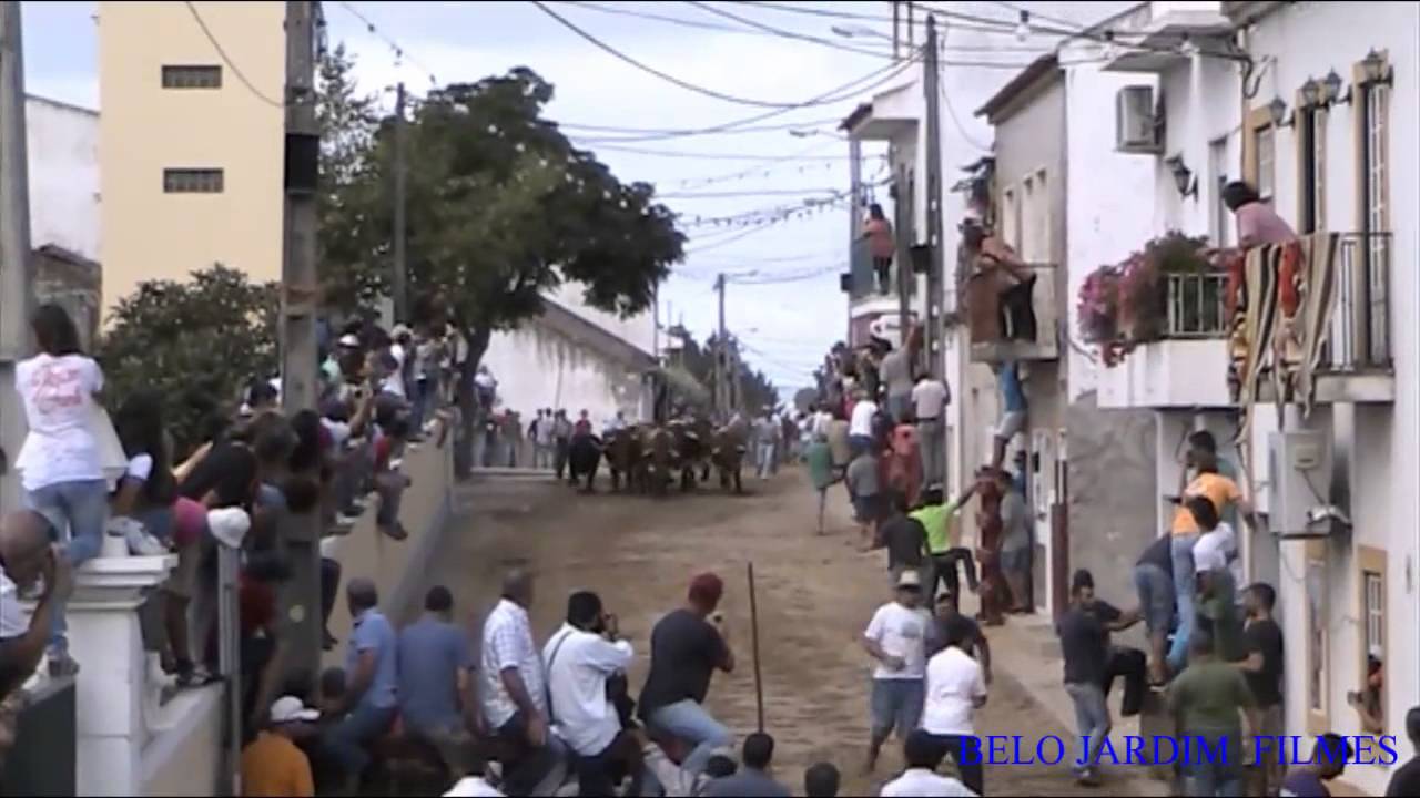 ENCIERRO DOS TOIROS CASA PRUDÊNCIO FESTAS DE SAMORA CORREIA 2015