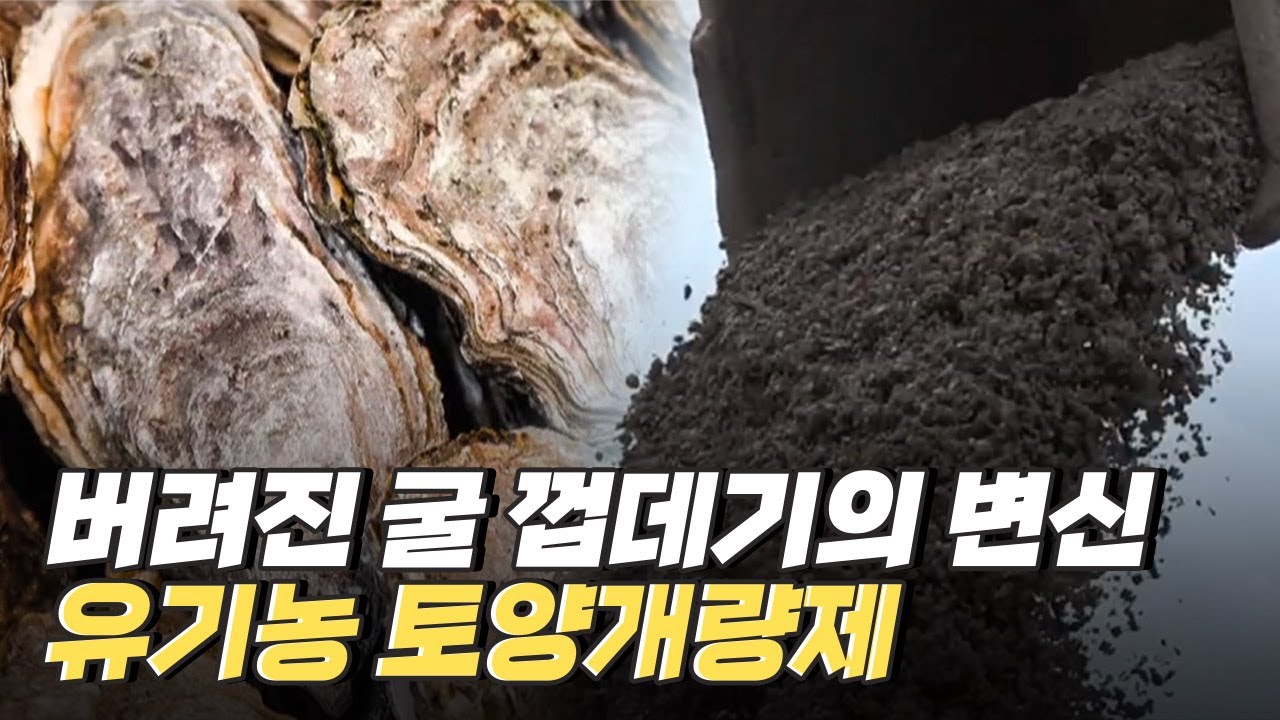 [핫클립] 굴 패각으로 유기농 토양개량제를 만들다 / YTN 사이언스
