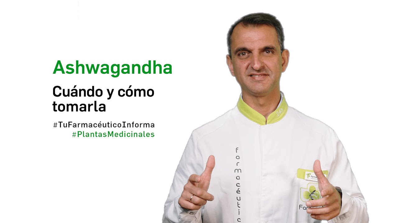 Ashwagandha, cu&aacute;ndo y c&oacute;mo tomarla. Tu Farmac&eacute;utico Informa - #PlantasMedicinales