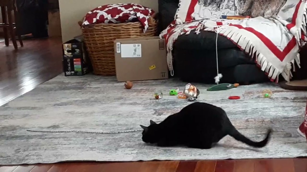 Nala girl playing during the blizzard