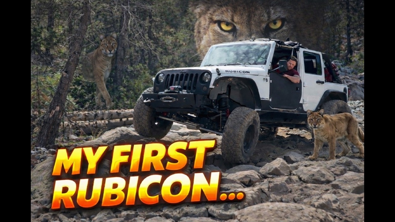 My First Rubicon... Was I Ready for This?