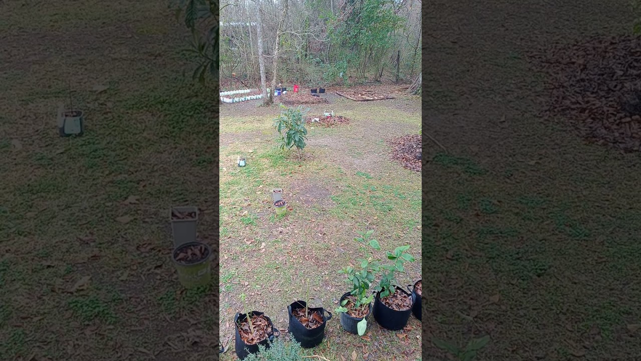 When Walmart Becomes the Pyramid: A Biblical Pattern They Never Saw Coming 