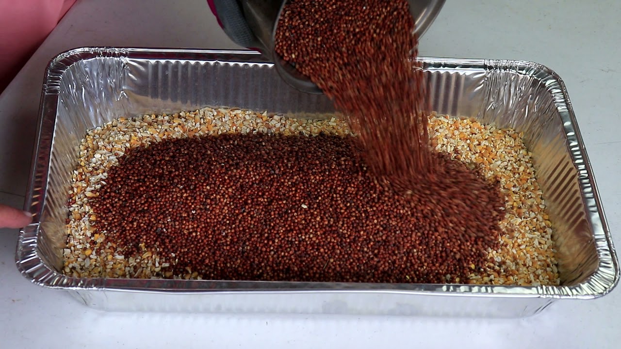 How to make your own Bird Seed and Save Money #DIY