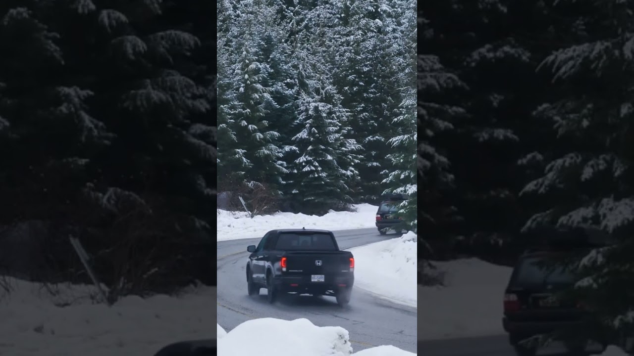 Curve on a snowy forest road,Pickup trucks turning a curve in a highway in a snowy pine forest.