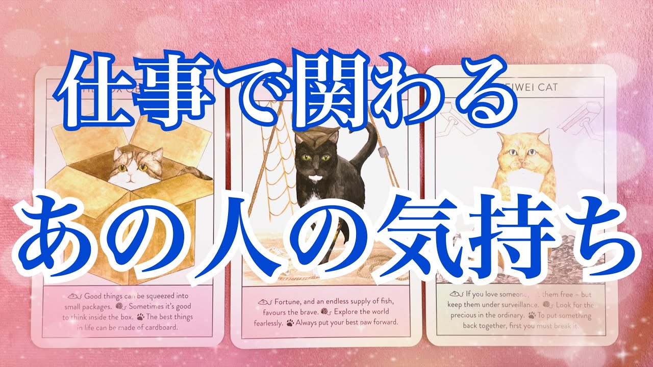 【仕事】職場、仕事で関わるあの人の気持ち🌈✨私のことどう思っている？【タロット占い】