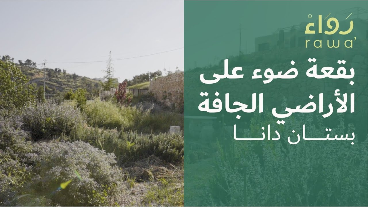 بقعة ضوء على الأراضي الجافة: بستان دانا