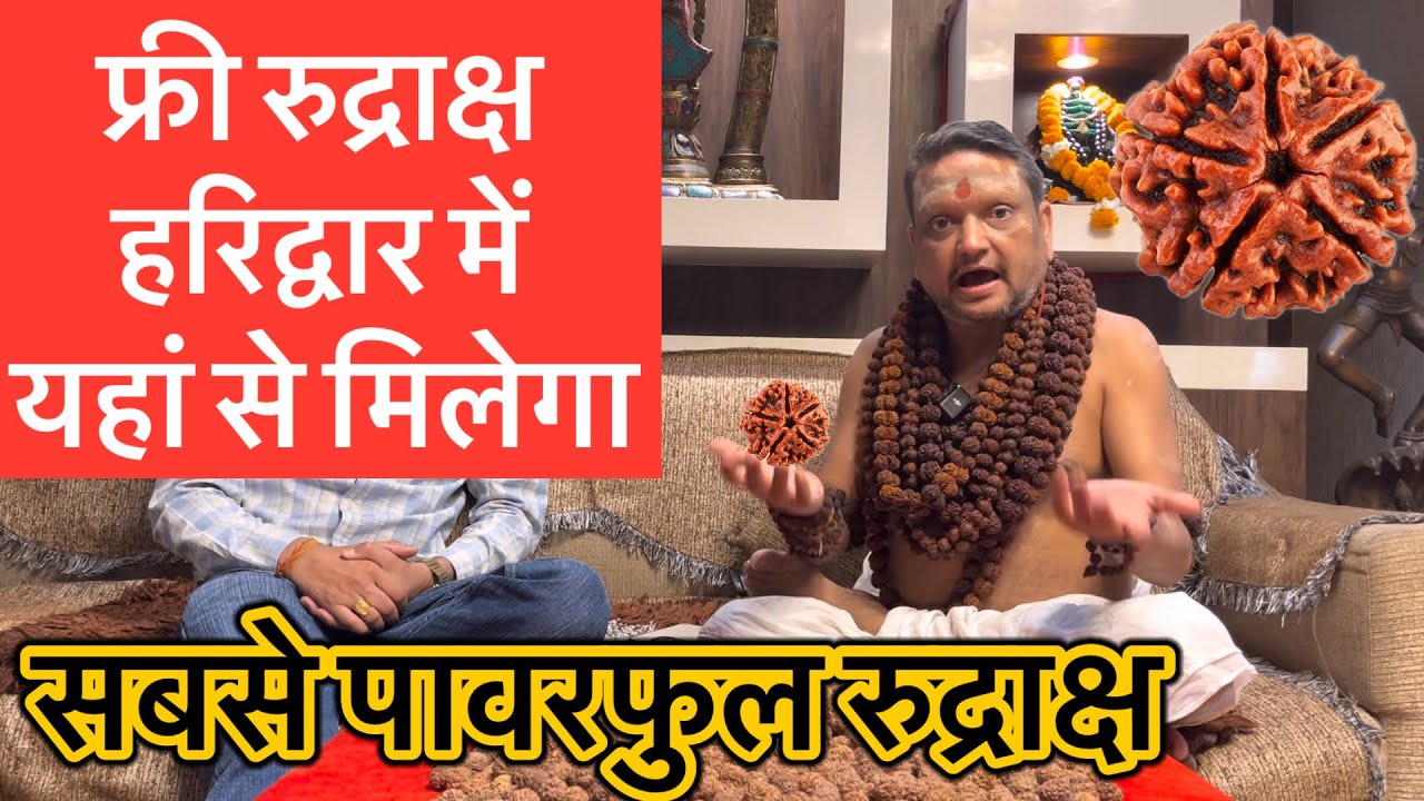 फ्री रुद्राक्ष हरिद्वार में यहा मिलेगा । सबसे पावरफुल रुद्राक्ष