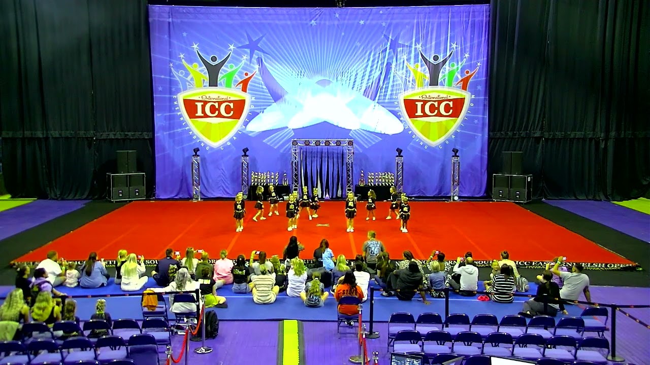 307   Unity Allstars Pineapple   14   Tiny Novice L1   Bopt 2