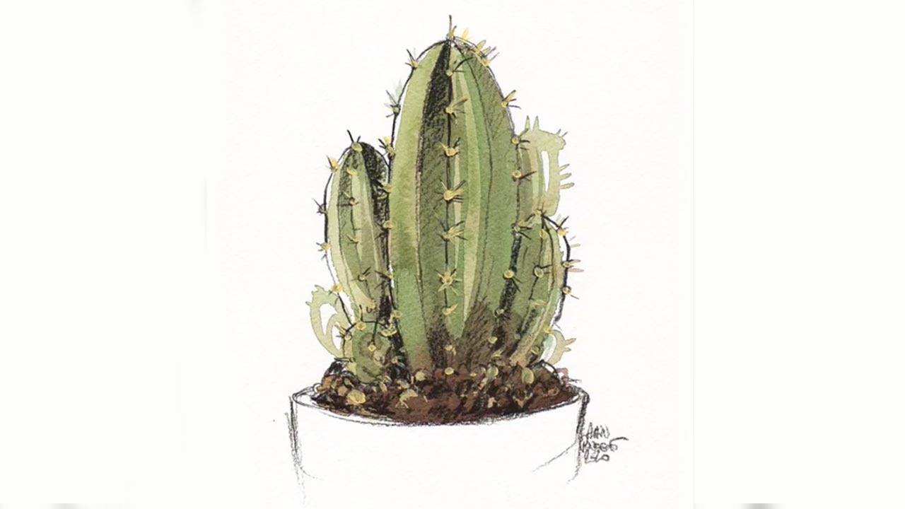 Cómo pintar un Cactus en acuarela sobre Papel Canson Hèritage Grano Grueso 300 gr