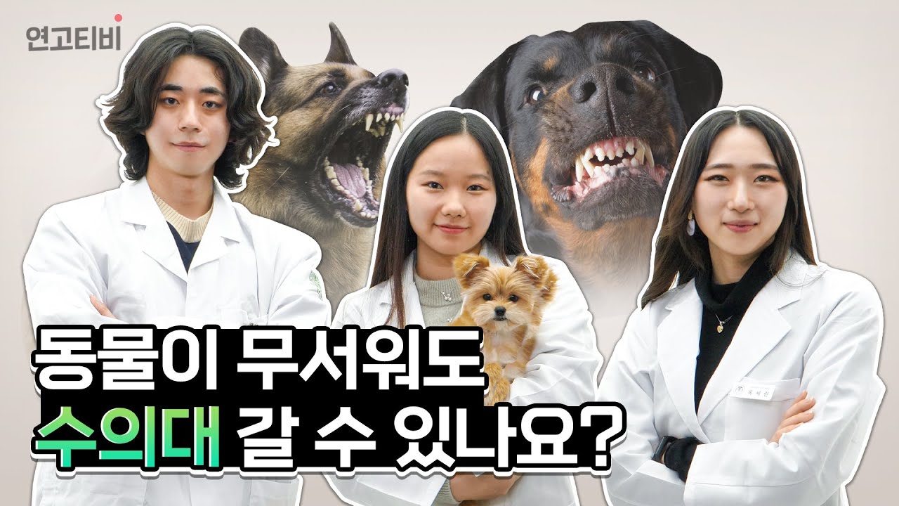 건국대 수의학과가 말하는 수의대 환상과 현실 | 연고티비