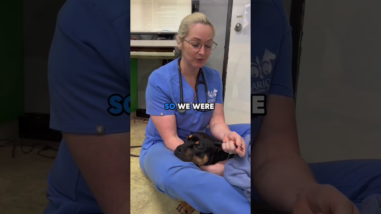 Meet Our Patient Miracle: The Most Common Causes For A Rectal Prolapse!