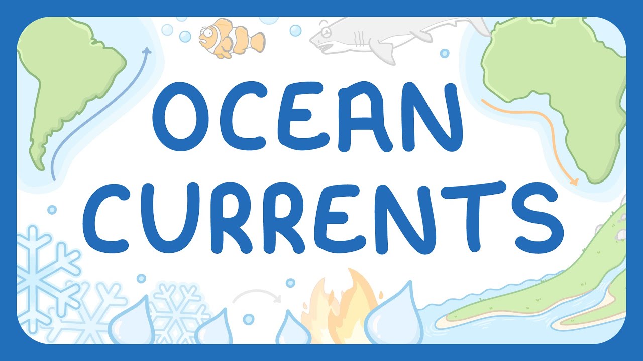 How Do Ocean Currents Work? (Middle School Science)