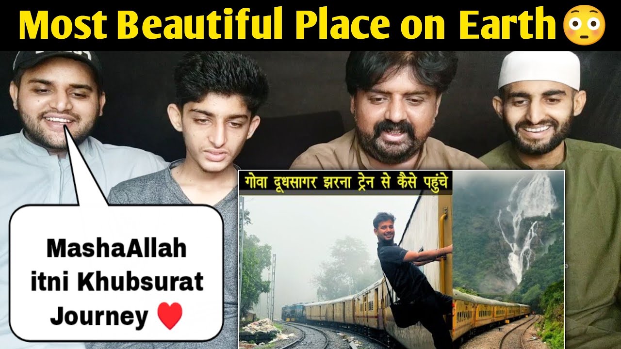 Pakistani Reacts on Dudhsagar falls by train || Most Beautiful Place India