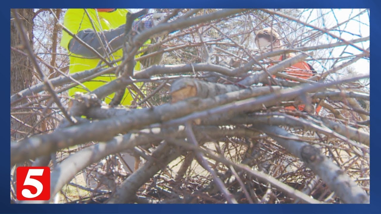 Volunteers still needed this Valentine's weekend to help clean up winter storm debris