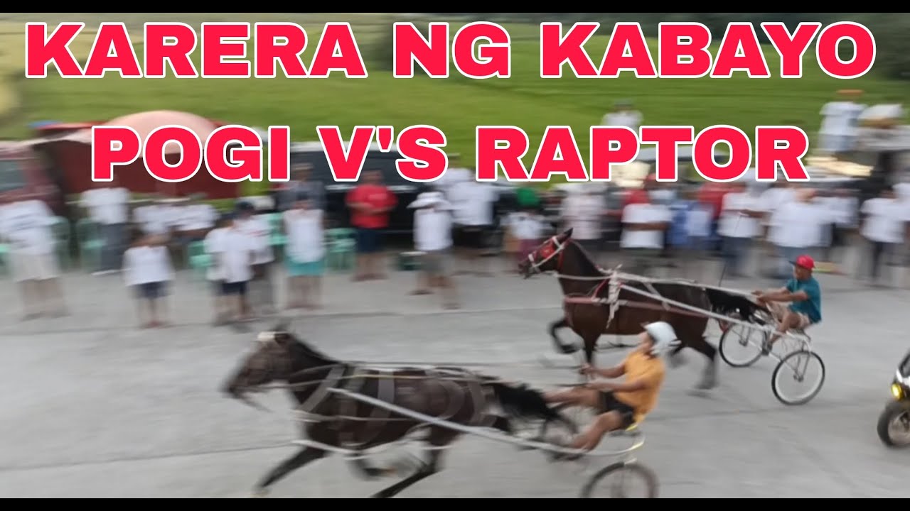 KARERA NG KABAYO POGI V'S RAPTOR