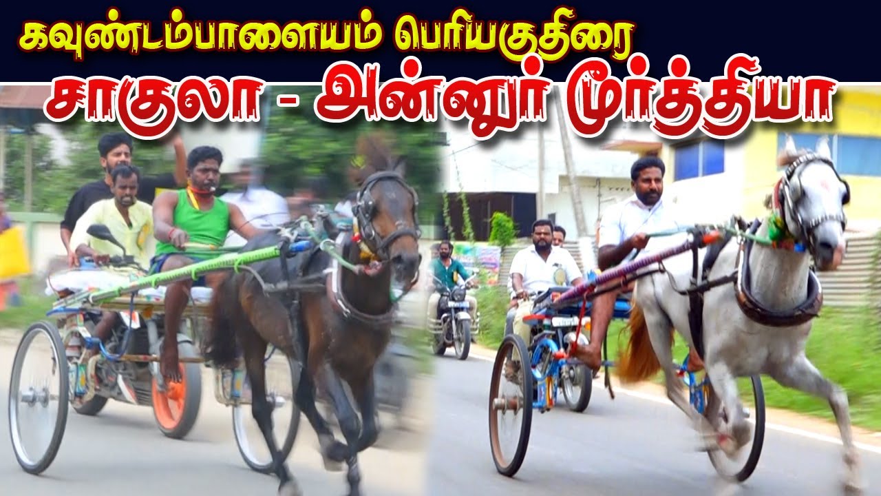பெரியகுதிரை கவுண்டம்பாளையம் கோவை  மா 18/12/2022  periyakuthirai covai ksk rekla race tn rekla