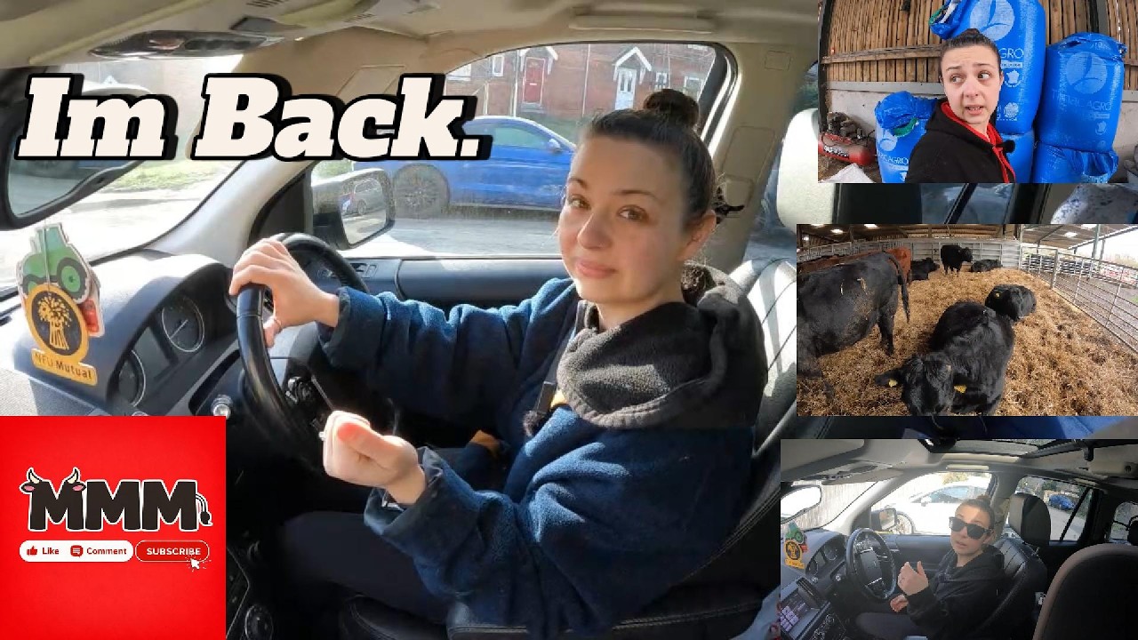 IM BACK