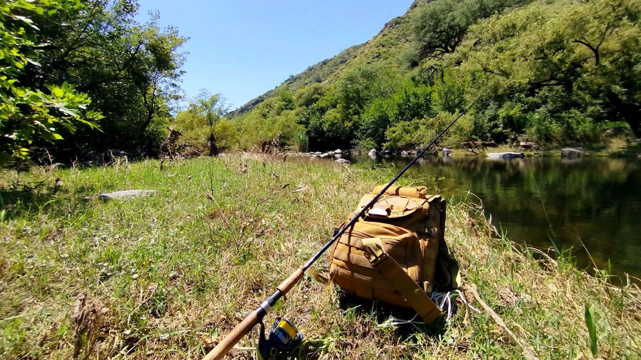 PESCA de TARUCHAS en el río. SALIO una tarucha MONSTRUOSA. 