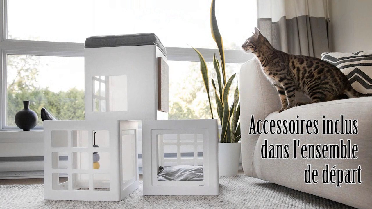 Katt3   Conseils de l'Educateur - Ajout de cubes et d'accessoires