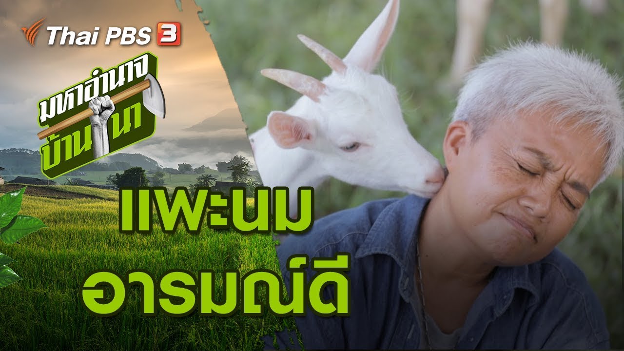 แพะนมอารมณ์ดี : มหาอำนาจบ้านนา (29 ธ.ค. 62)