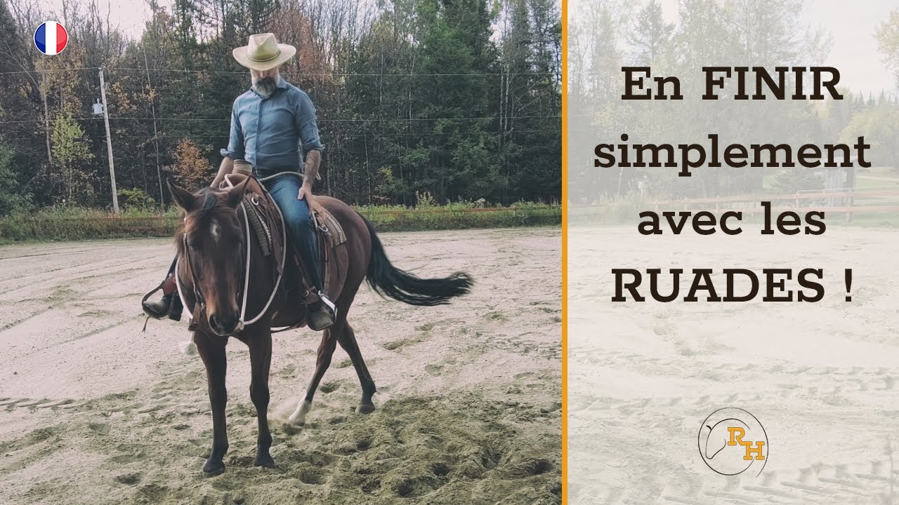 Croiser les Postérieurs : Empêcher un Cheval de Ruer | Guide Pas-à-Pas du Travail en Selle
