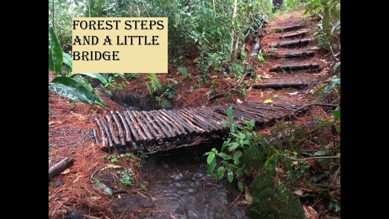 Building a small forest bridge and steps